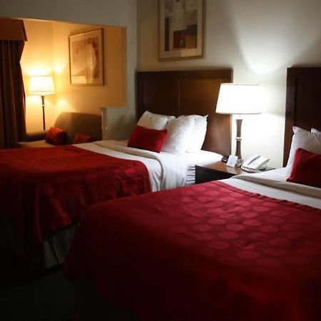 Comfort Suites דנוור מראה חיצוני תמונה